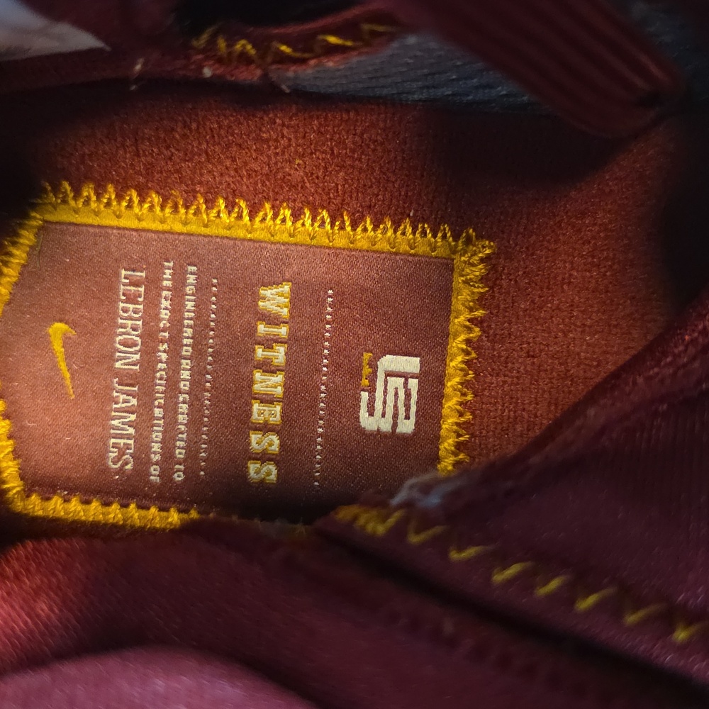 Lebron 7 MVP Historu - Picture 10 of 14
